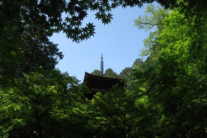 金剛輪寺の三重塔